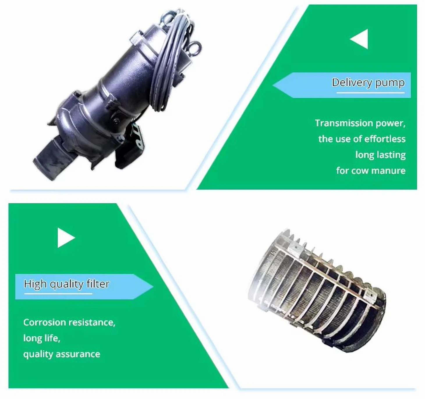 p202506051559133659b 1